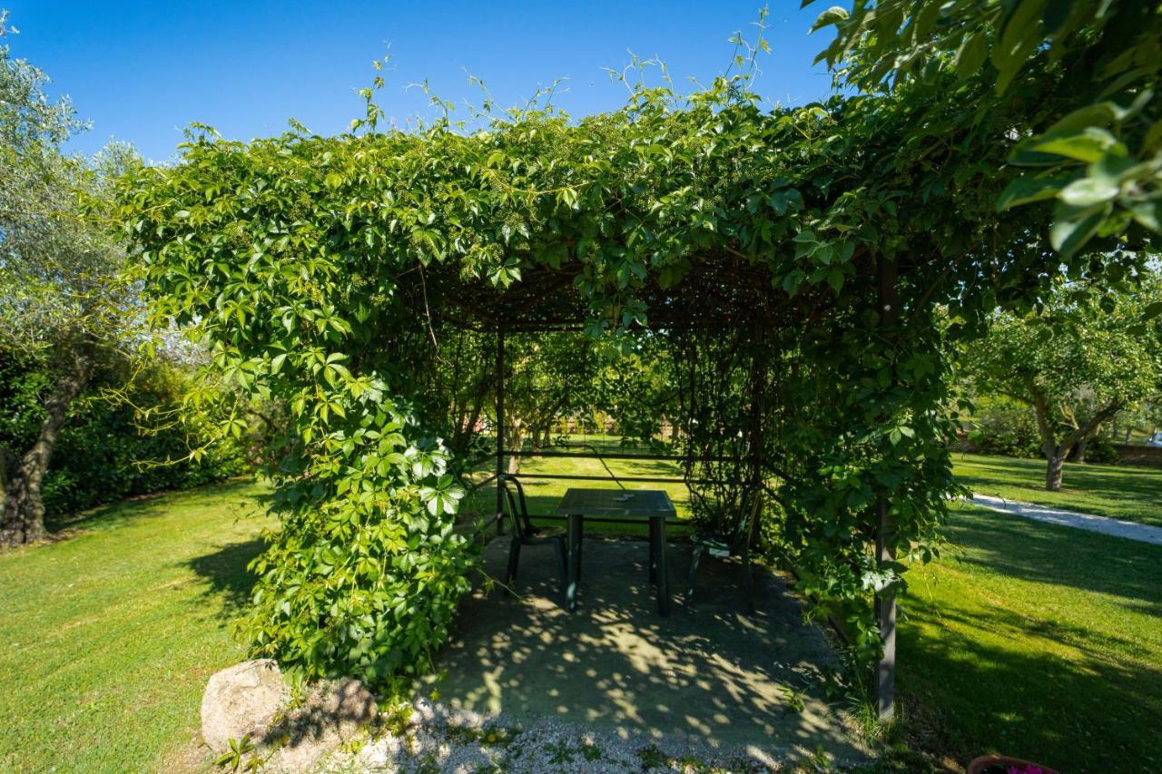Agriturismo Zugarelli Anguillara Sabazia Exterior photo