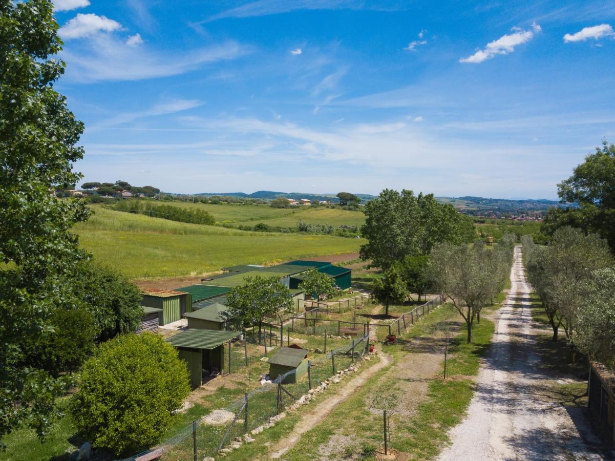 Agriturismo Zugarelli Anguillara Sabazia Exterior photo