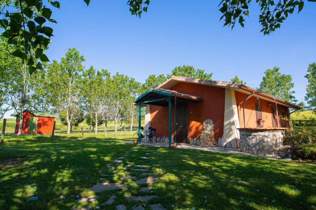 Agriturismo Zugarelli Anguillara Sabazia Exterior photo